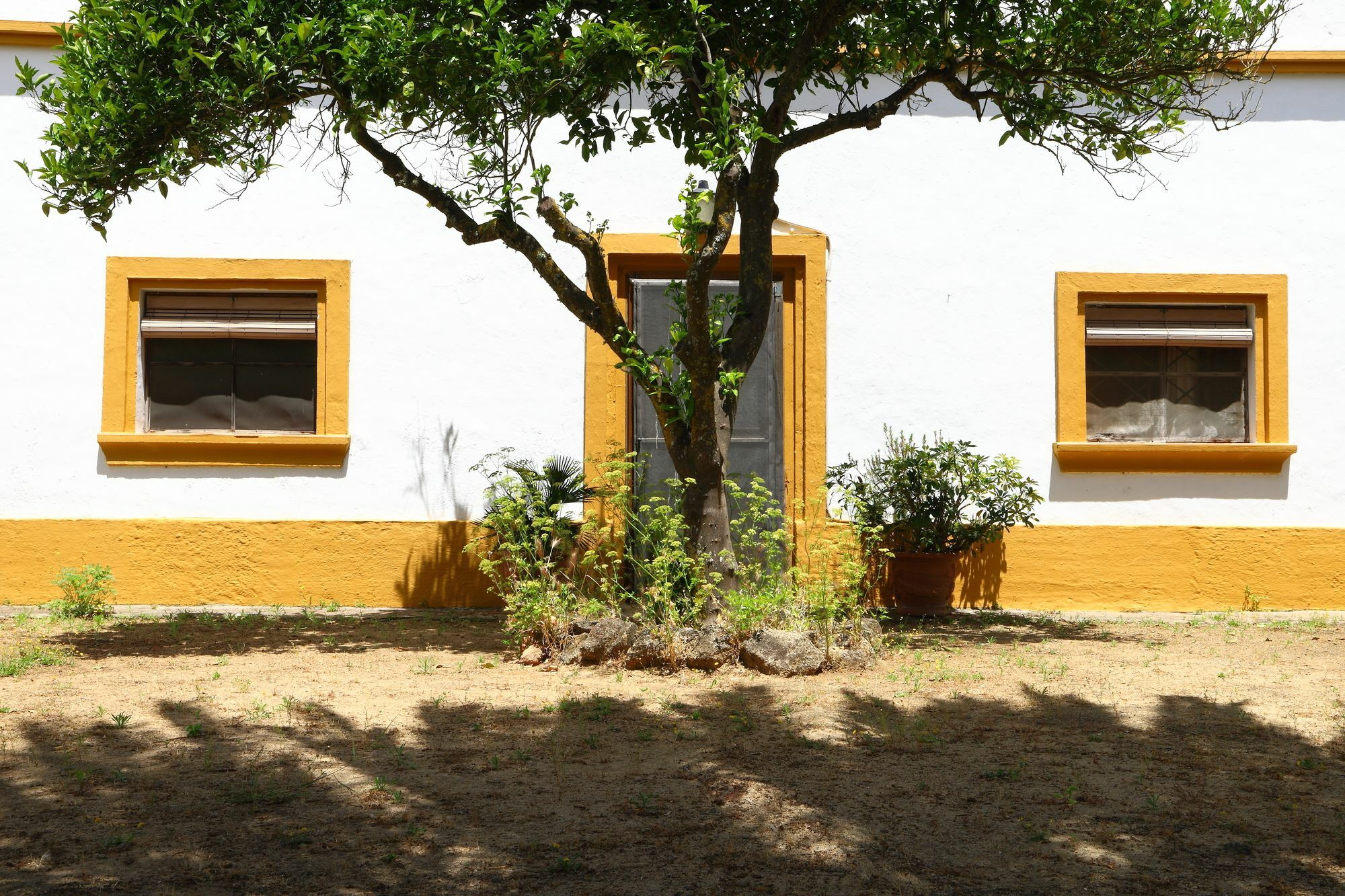 Casa Rural Finca Los Hierros Vejer de la Frontera Exterior foto